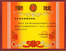 2009年4月 QC成果《解决深孔钻杆加杆困难》获得中国有色金属工业工程勘察系统第21次QC小组二等奖